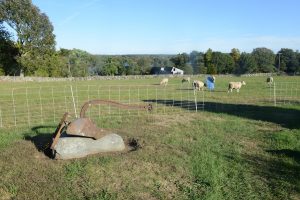 Stonehaven Family Farm (Photo by Andrew Ayer)