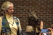 Westport Owl event
