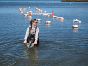 oyster farmer