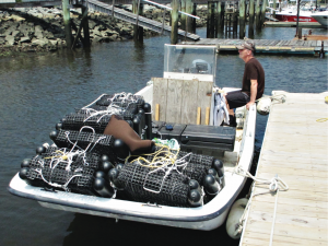 Oyster farmer