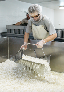 Dairy Farming on the South Coast