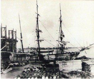 The New Bedford whaling ship, Catalpa