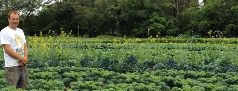 Photo courtesy of Bay End Farm