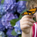Butterfly resting on little girl's hand