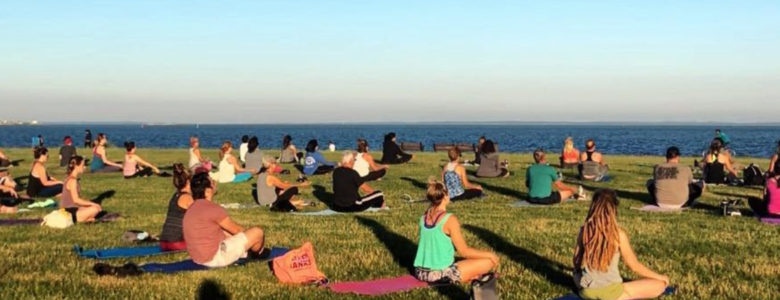 8 Great Things on the South Coast