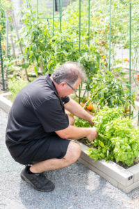 Sahin picks some herbs for the kitchen