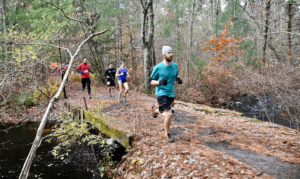 Runners at the DNRT trail run