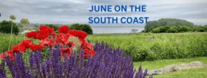 A beautiful garden on the coast with words June on the South Coast
