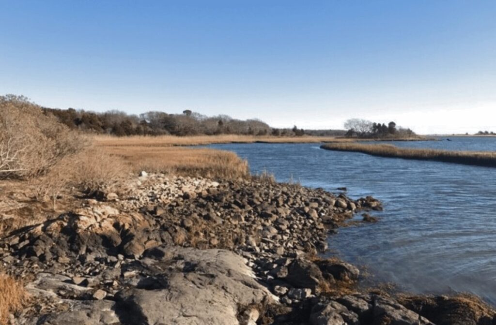 A landscape scene at the river's edge