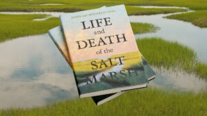Life & Death of the Salt Marsh with a backdrop of a salt marsh