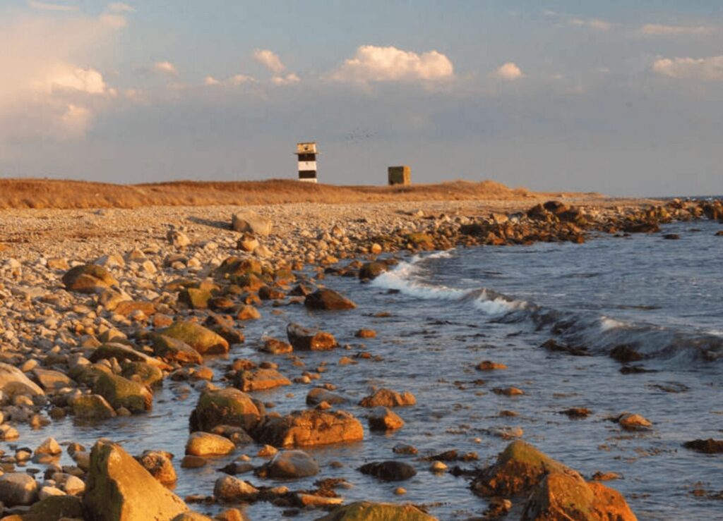 A view of the shoreline of Gooseberry Island 