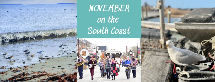 8 Great Things for November with photos of birds and a parade