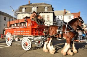 Clydesdales, pulling a carriage