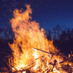 A bonfire made of grapevines