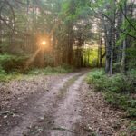 A trail in Marion