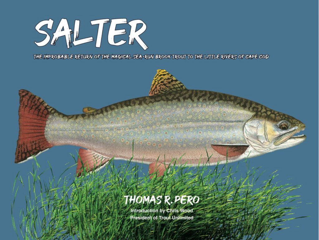 Salter book jacket cover