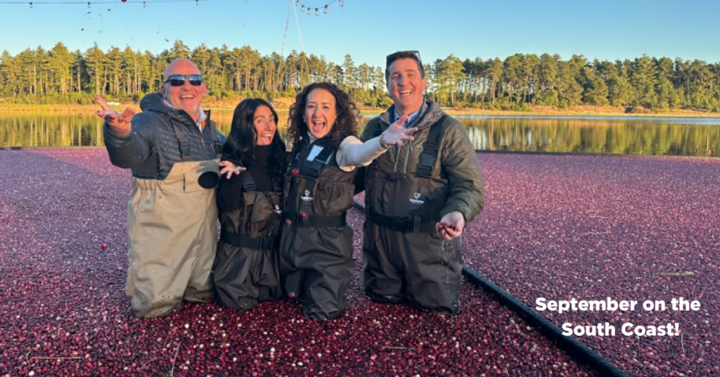 Four people in waders in a cranberry bog