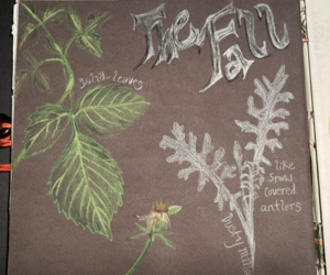 Nature sketches