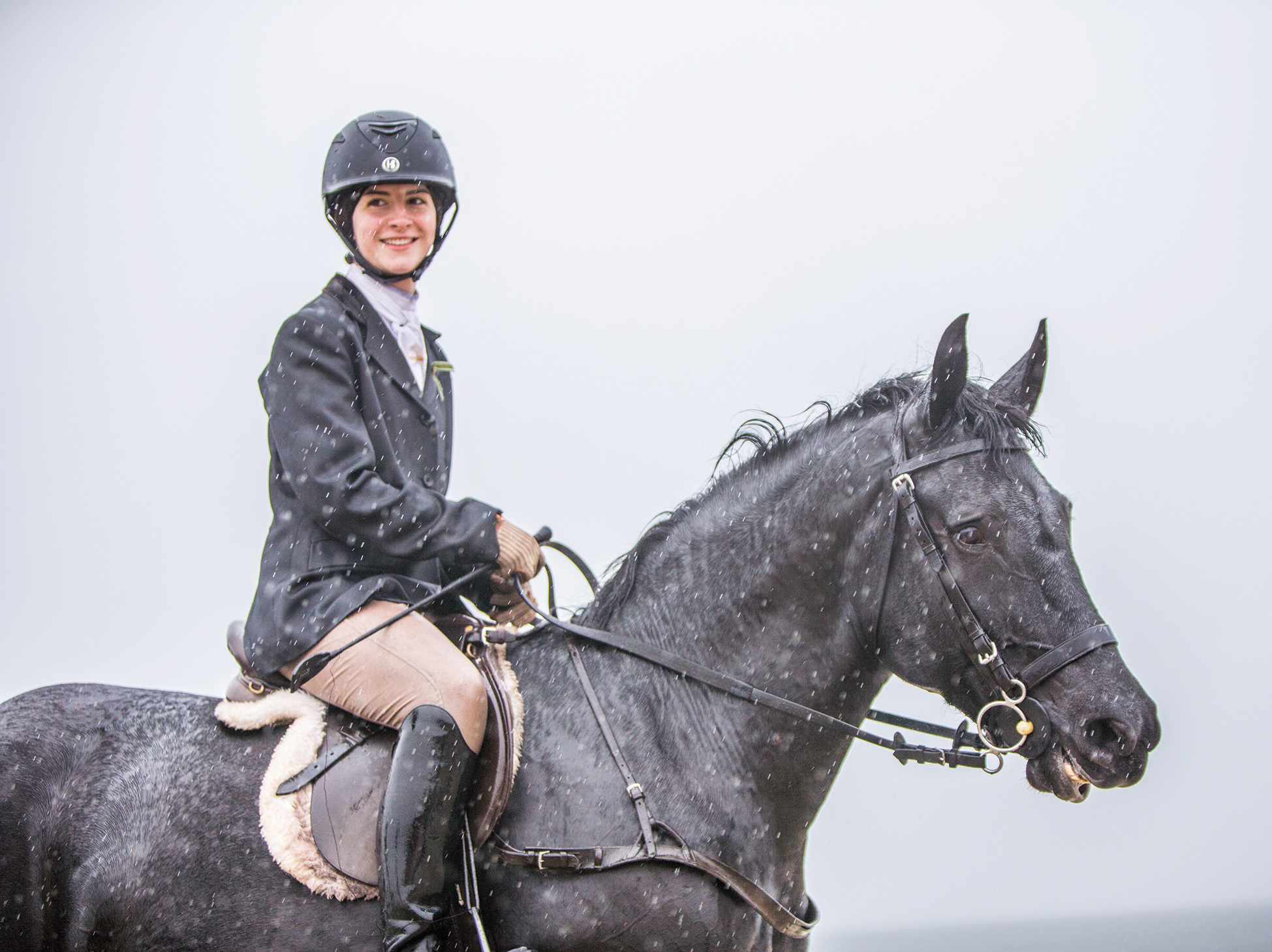 A rider on a horse