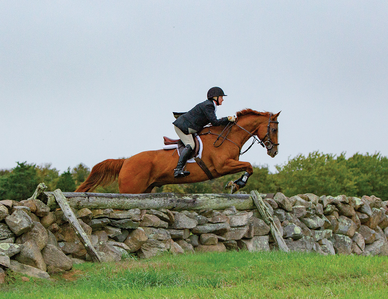 A rider vaults over a stone wall at Barney's Joy Farm.