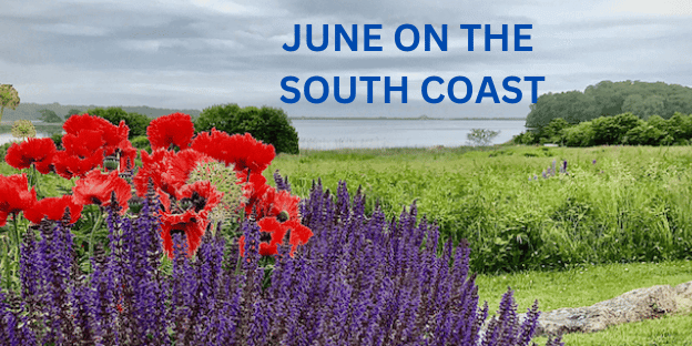 A beautiful garden on the coast with words June on the South Coast