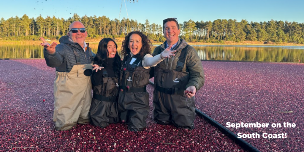Four people in waders in a cranberry bog
