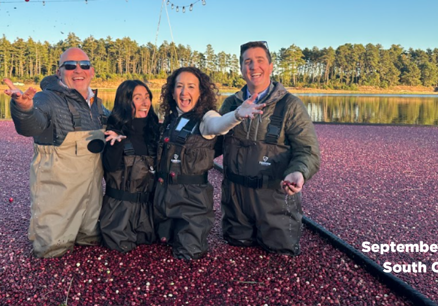 Four people in waders in a cranberry bog