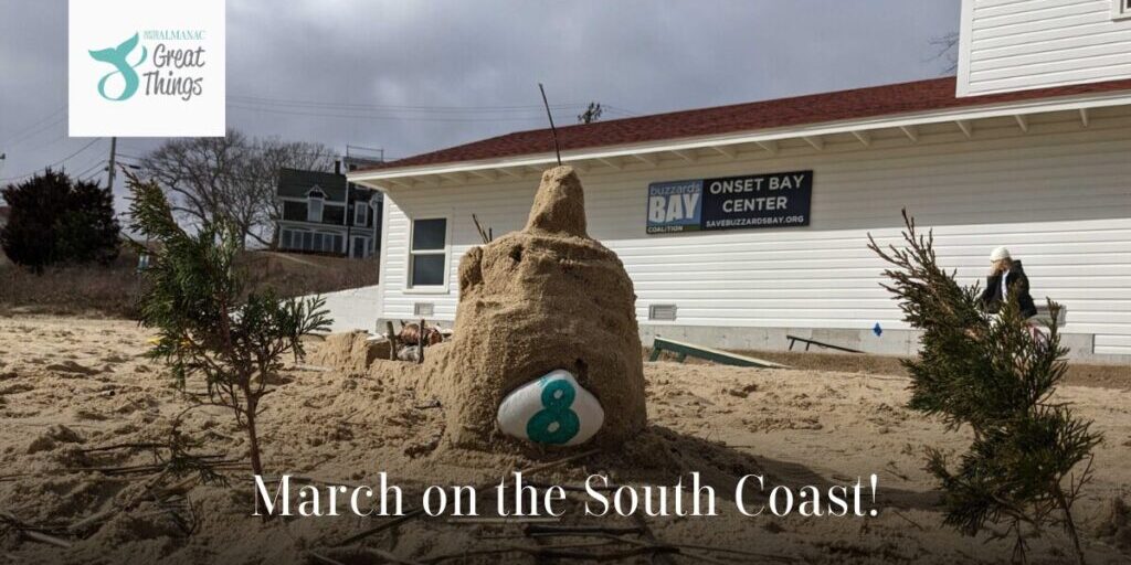 March 2025 Events on the South Coast