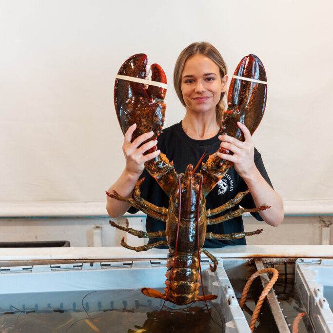 Cassie McDonough holds an 11-pound lobster.