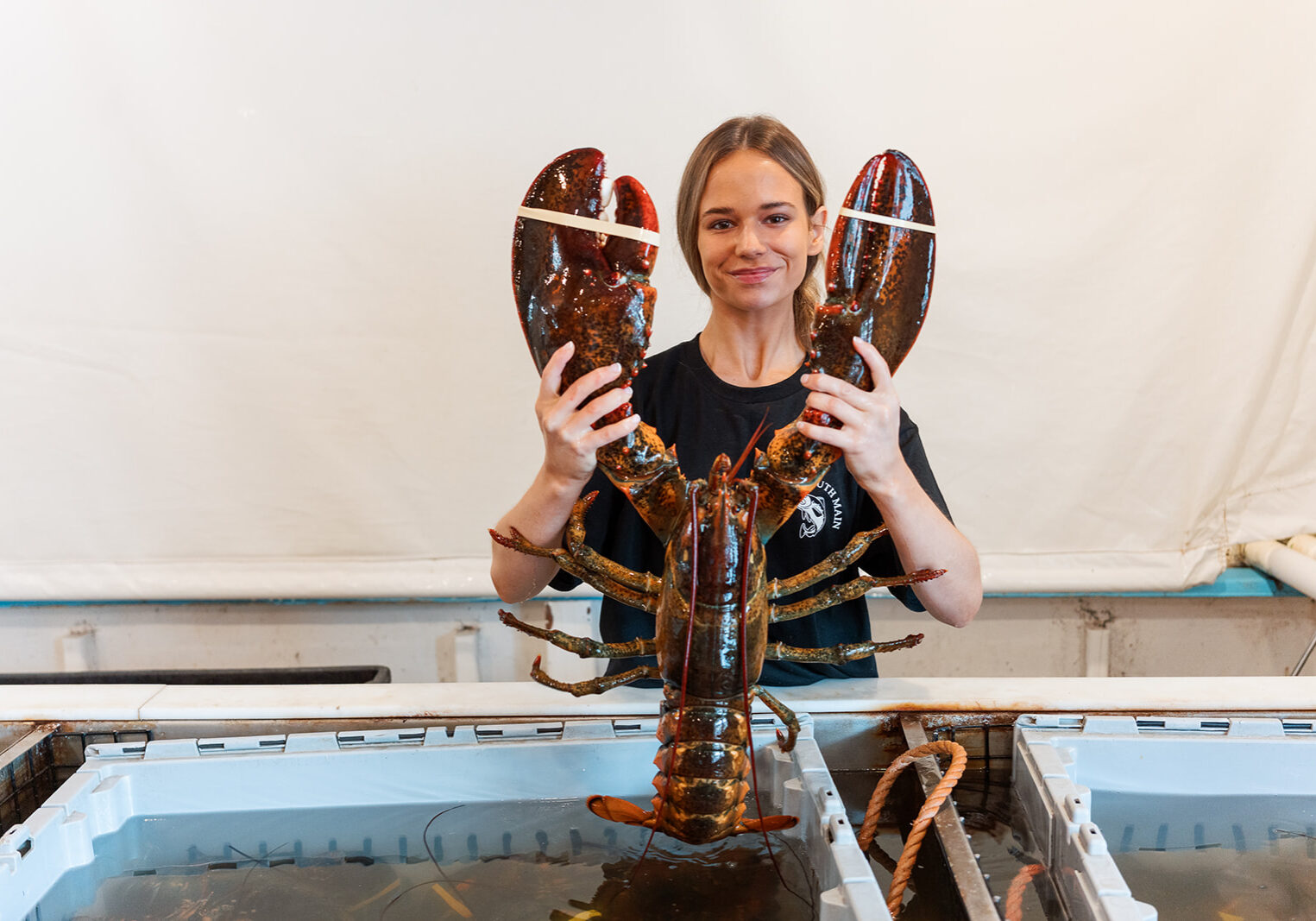 Cassie McDonough holds an 11-pound lobster.