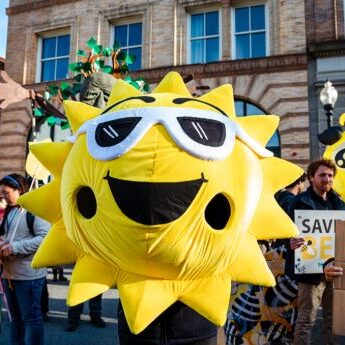 An Aha! parade participant dressed up as the sun!