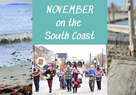 8 Great Things for November with photos of birds and a parade