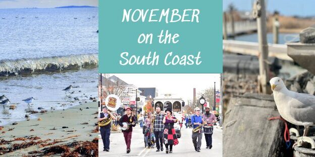 8 Great Things for November with photos of birds and a parade