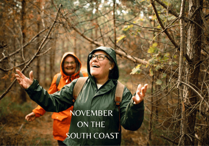 women walking in the woods, with title November on the South Coast